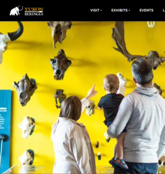 Bizont | Blog Thumbnail - Beringia Yukon Center