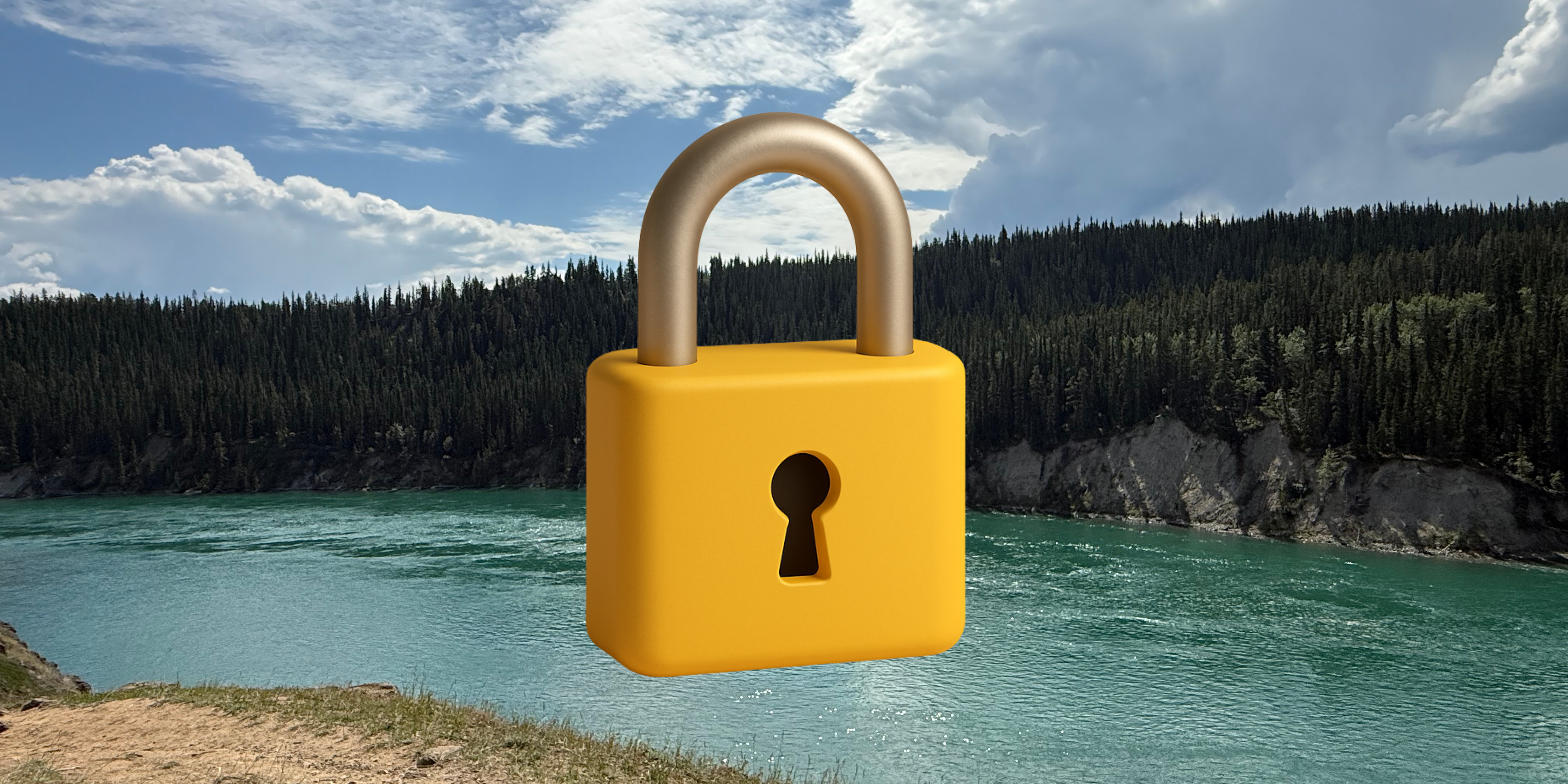 Beyond the Bid” Series (Post 1): Rethinking Digital Procurement to Support Local Innovation in the Yukon