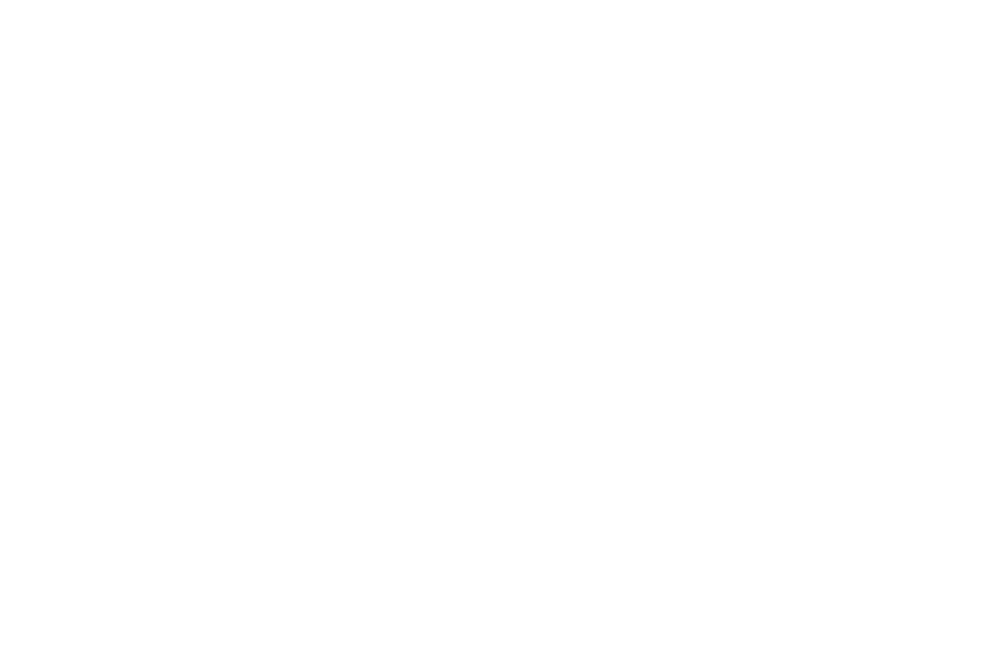 Bizont_logo_blanco